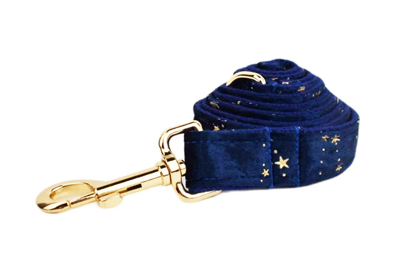 Navy Blue Star Dog Set - Custom Name Tag