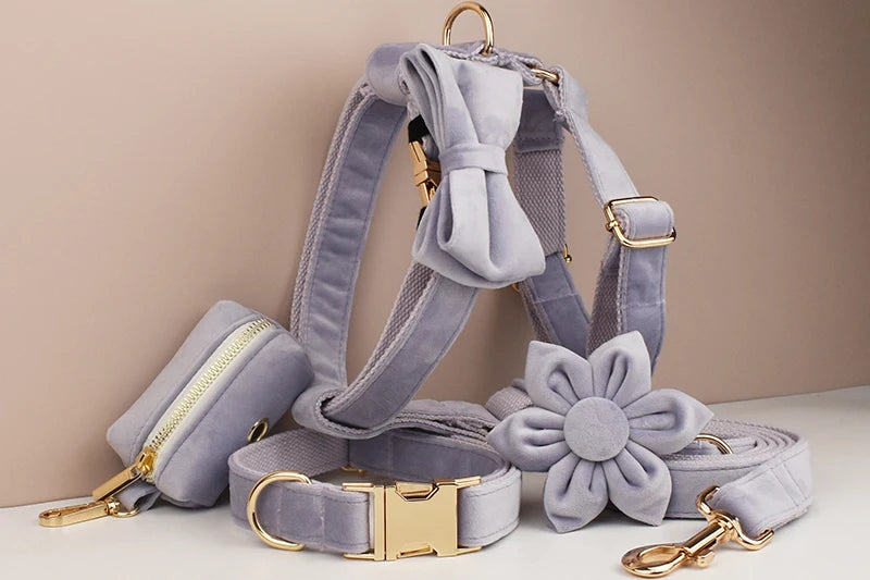 Lilac Dog Collar Harness Leash Set - Custom Engraved Nameplate