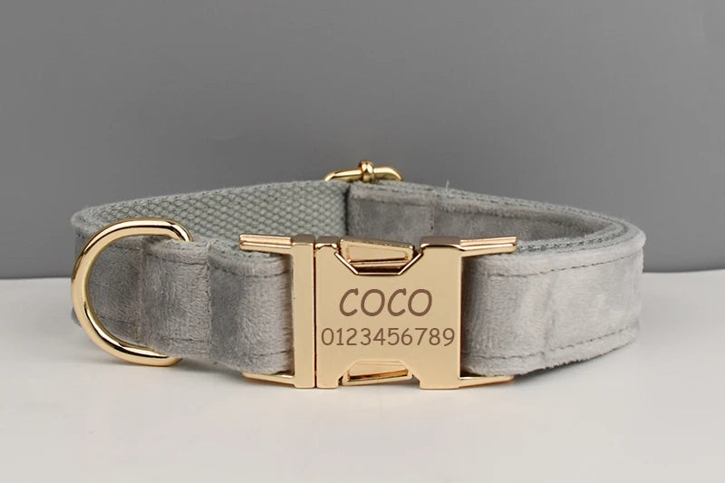 Grey Pet Collar Harness Leash Set - Custom Engraved Nameplate