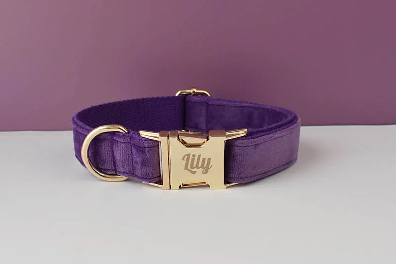 Deep Purple Velvet Pet Collar And Leash Set With Custom Engraved Nameplate