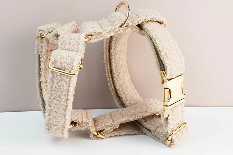 Cream Teddy Pet Collar And Leash Set With Custom Engraved Nameplate