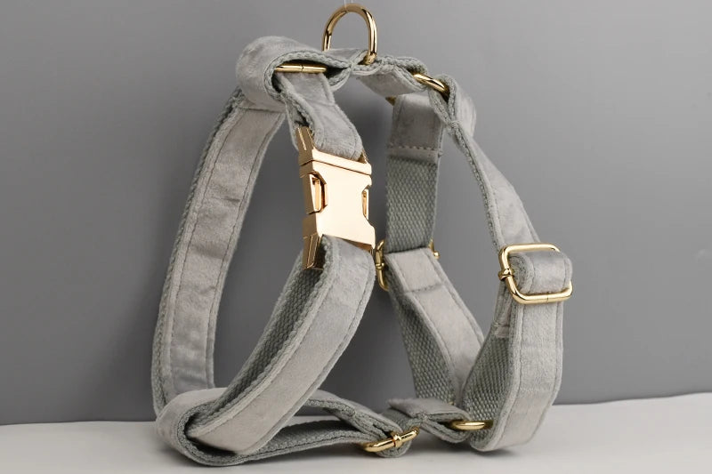Grey Pet Collar Harness Leash Set - Custom Engraved Nameplate