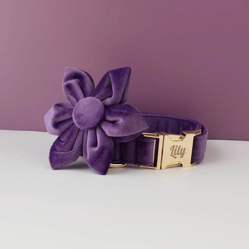 Deep Purple Velvet Pet Collar And Leash Set With Custom Engraved Nameplate