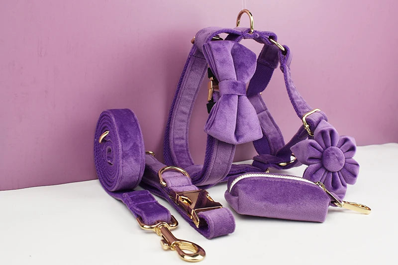 Deep Purple Velvet Pet Collar And Leash Set With Custom Engraved Nameplate