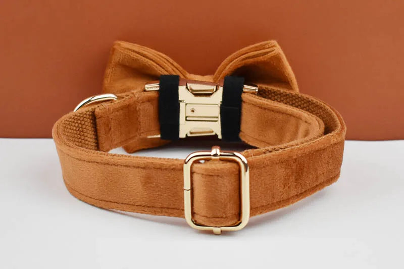 Tan Velvet Pet Collar And Leash Set - Custom Engraved Name