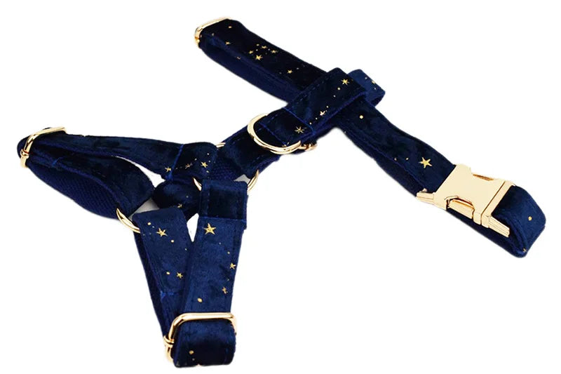 Navy Blue Star Dog Set - Custom Name Tag