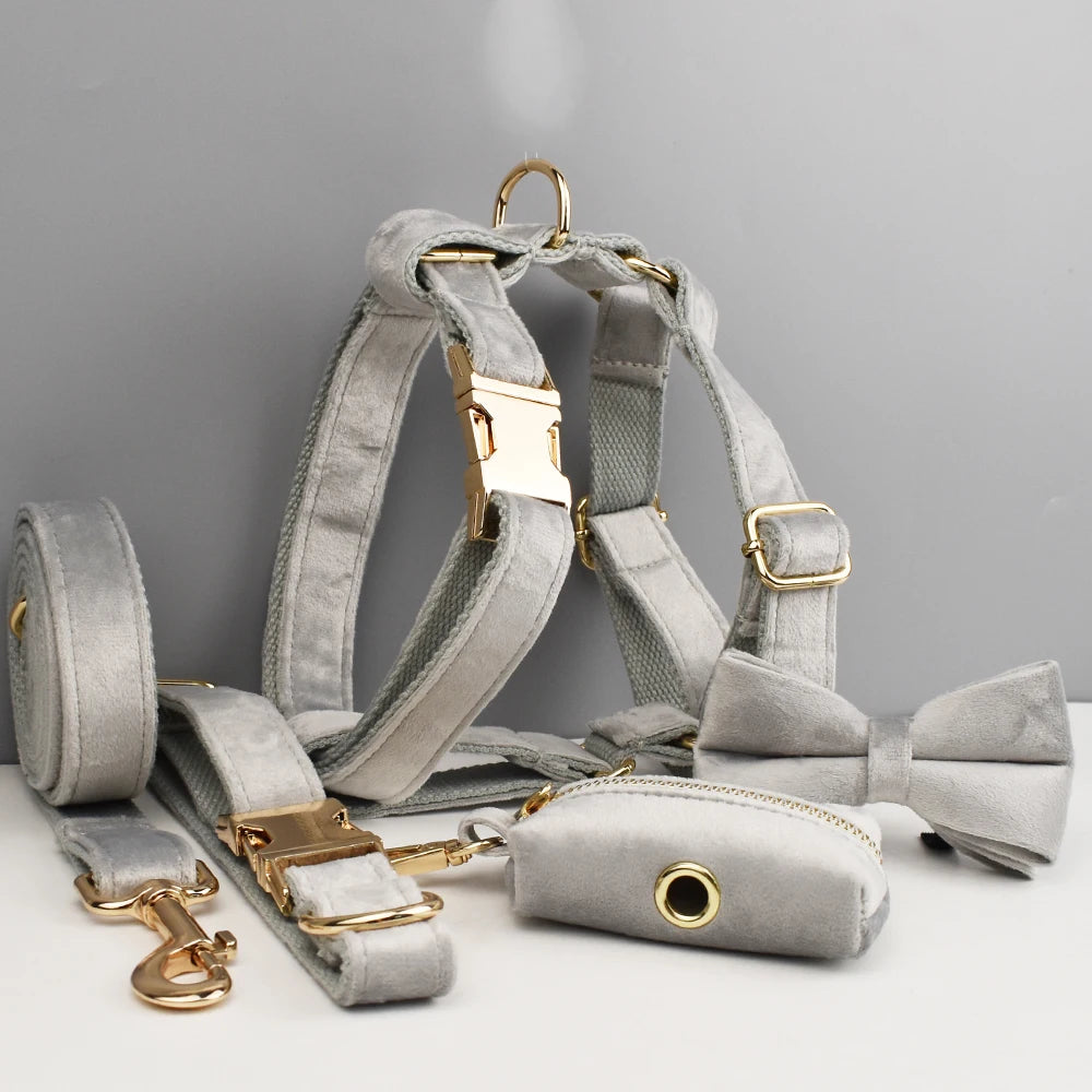 Grey Pet Collar Harness Leash Set - Custom Engraved Nameplate