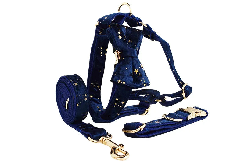 Navy Blue Star Dog Set - Custom Name Tag
