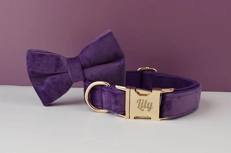 Deep Purple Velvet Pet Collar And Leash Set With Custom Engraved Nameplate