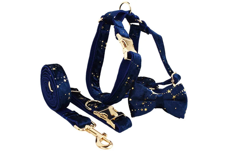 Navy Blue Star Dog Set - Custom Name Tag