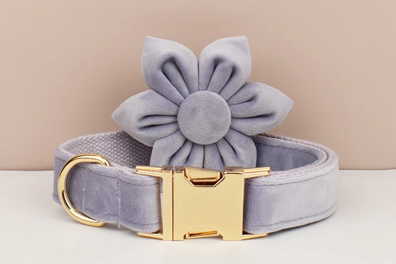 Lilac Dog Collar Harness Leash Set - Custom Engraved Nameplate