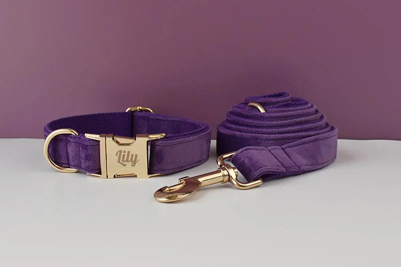 Deep Purple Velvet Pet Collar And Leash Set With Custom Engraved Nameplate