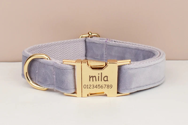 Lilac Dog Collar Harness Leash Set - Custom Engraved Nameplate