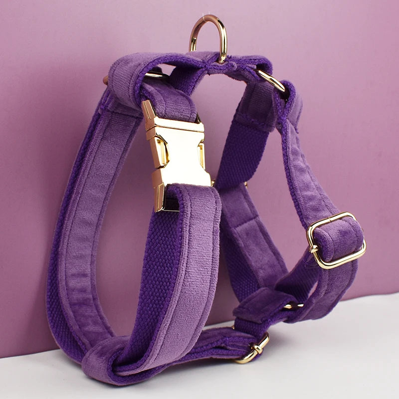 Deep Purple Velvet Pet Collar And Leash Set With Custom Engraved Nameplate