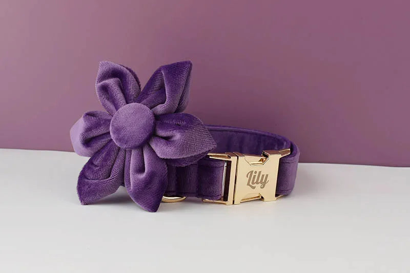 Deep Purple Velvet Pet Collar And Leash Set With Custom Engraved Nameplate