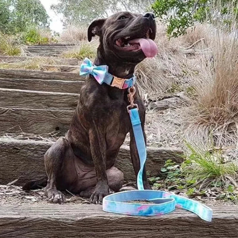 Colorful Personalized Dog Collar and Leash Set