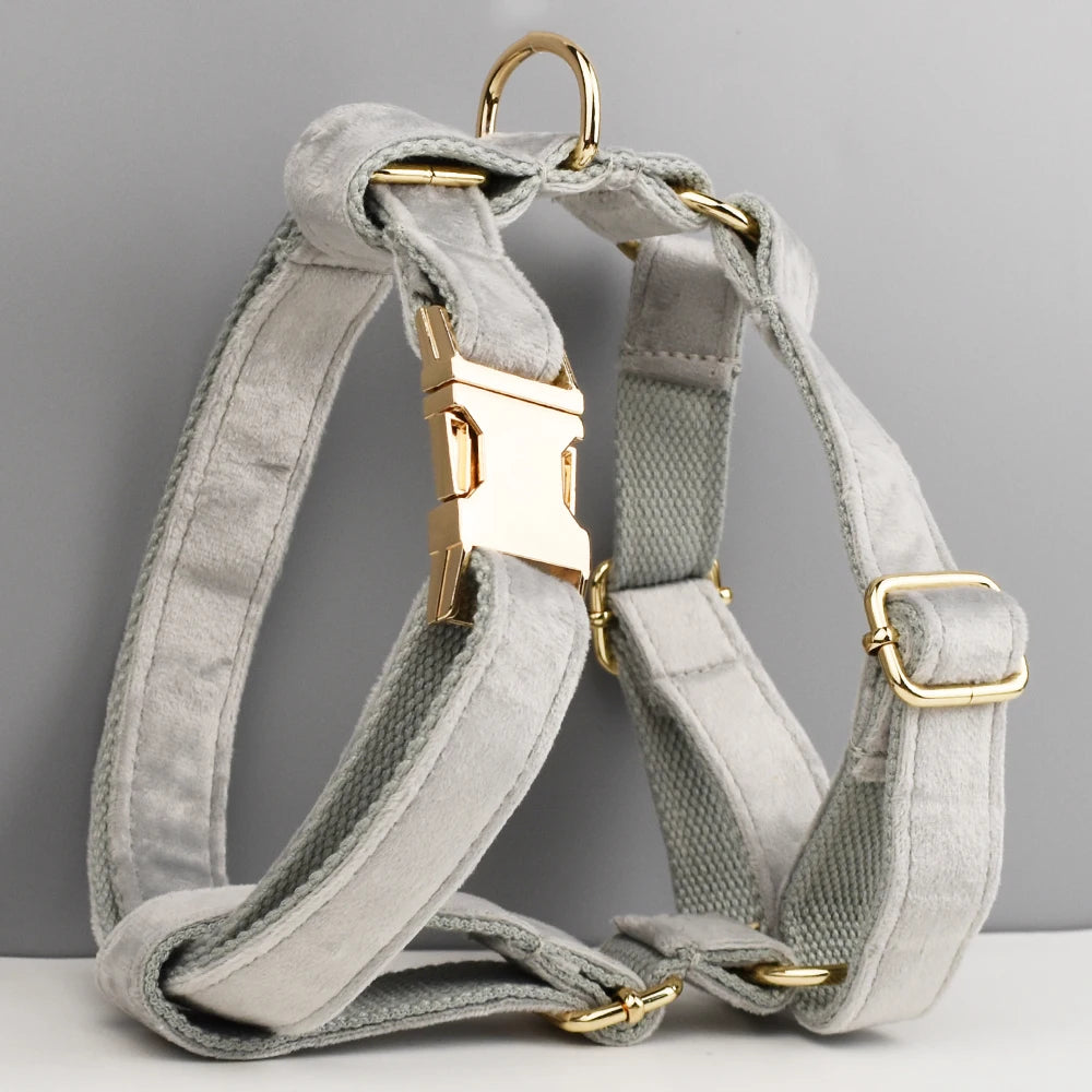 Grey Pet Collar Harness Leash Set - Custom Engraved Nameplate