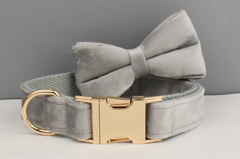 Grey Pet Collar Harness Leash Set - Custom Engraved Nameplate