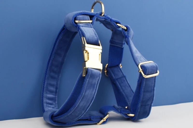 Navy Blue Velvet Dog Collar And Leash Set