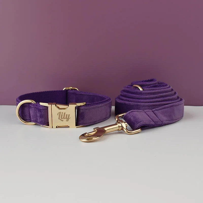 Deep Purple Velvet Pet Collar And Leash Set With Custom Engraved Nameplate