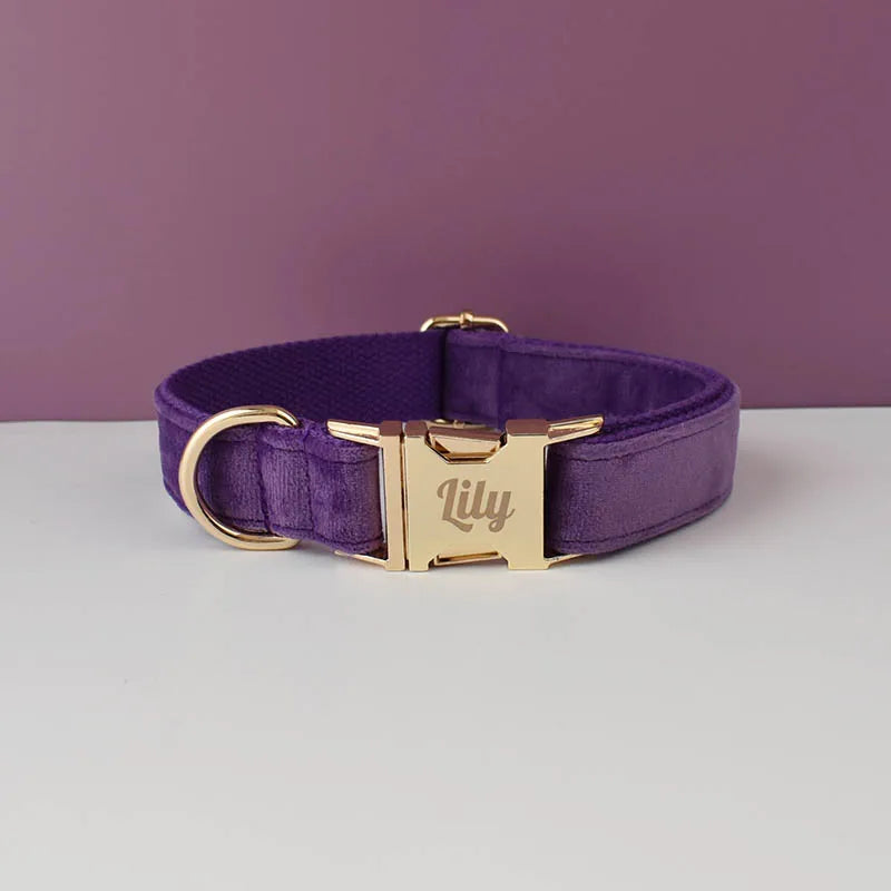 Deep Purple Velvet Pet Collar And Leash Set With Custom Engraved Nameplate