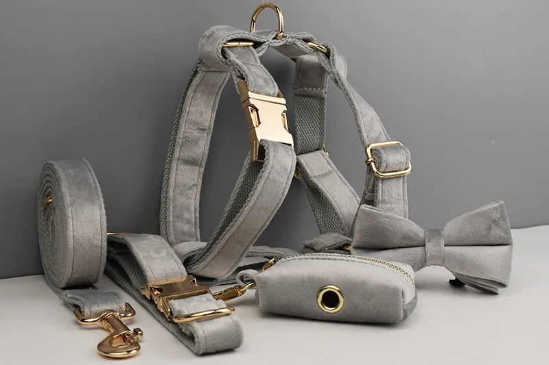 Grey Pet Collar Harness Leash Set - Custom Engraved Nameplate