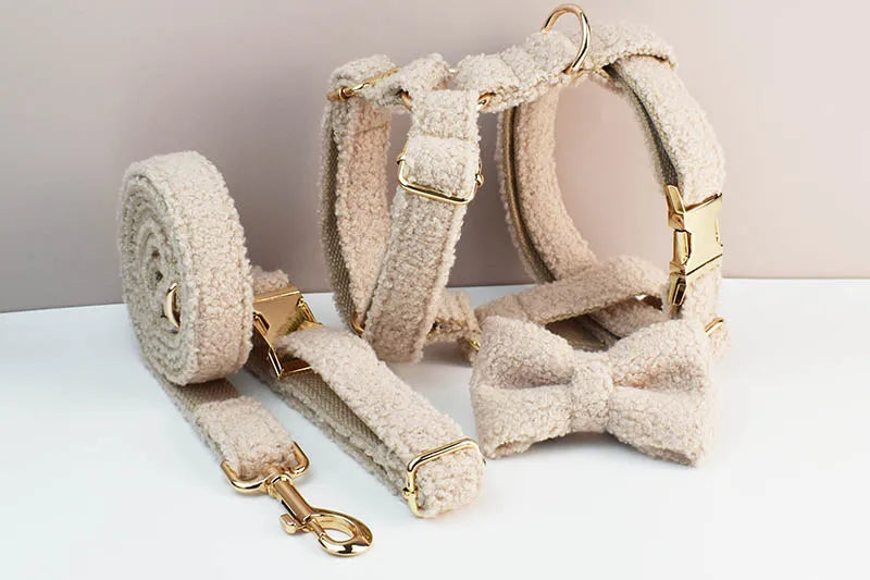 Cream Teddy Pet Collar And Leash Set With Custom Engraved Nameplate