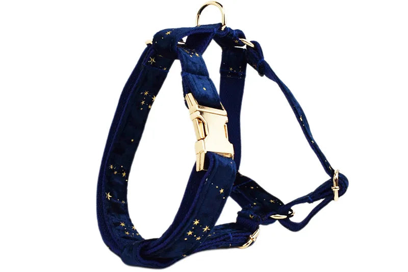 Navy Blue Star Dog Set - Custom Name Tag