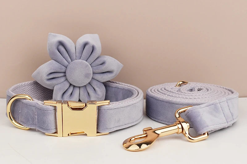 Lilac Dog Collar Harness Leash Set - Custom Engraved Nameplate