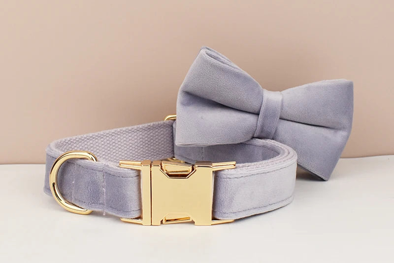 Lilac Dog Collar Harness Leash Set - Custom Engraved Nameplate