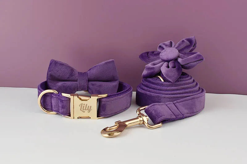 Deep Purple Velvet Pet Collar And Leash Set With Custom Engraved Nameplate
