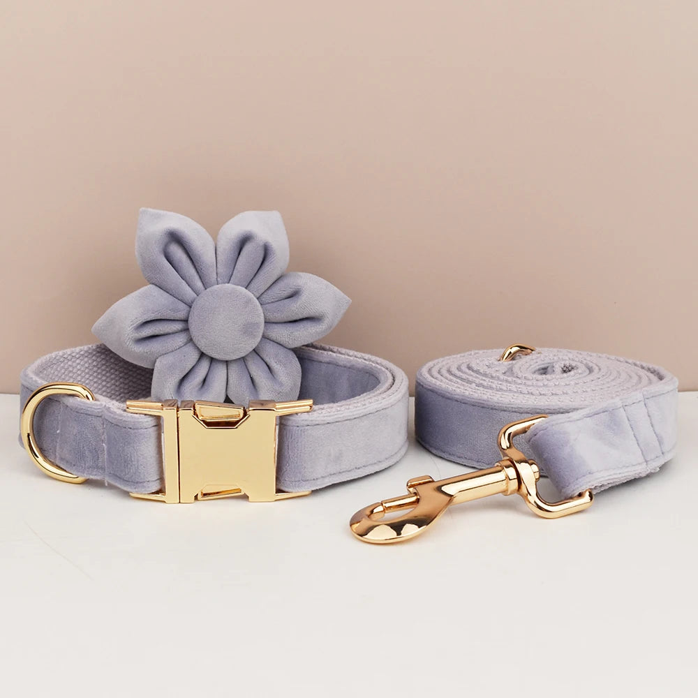 Lilac Dog Collar Harness Leash Set - Custom Engraved Nameplate