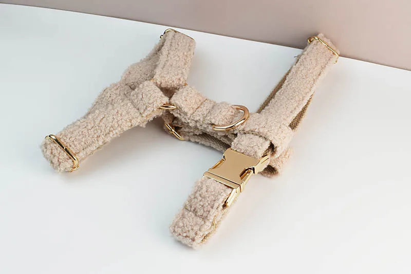 Cream Teddy Pet Collar And Leash Set With Custom Engraved Nameplate