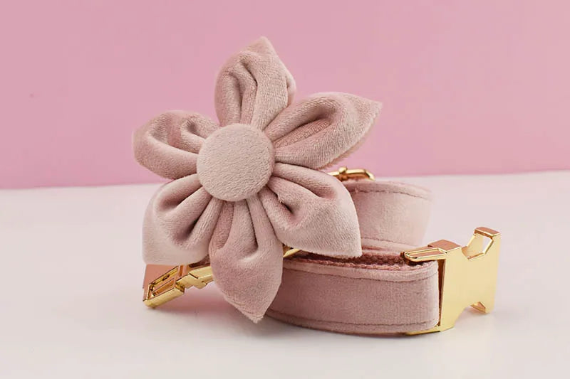 Pale Pink Velvet Dog Collar And Leash Set