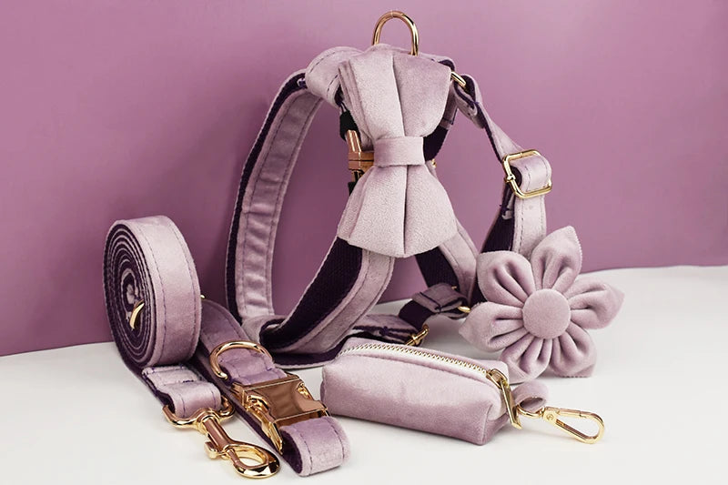Light Purple Velvet Dog Collar And Leash Set - Custom Engraved Nameplate