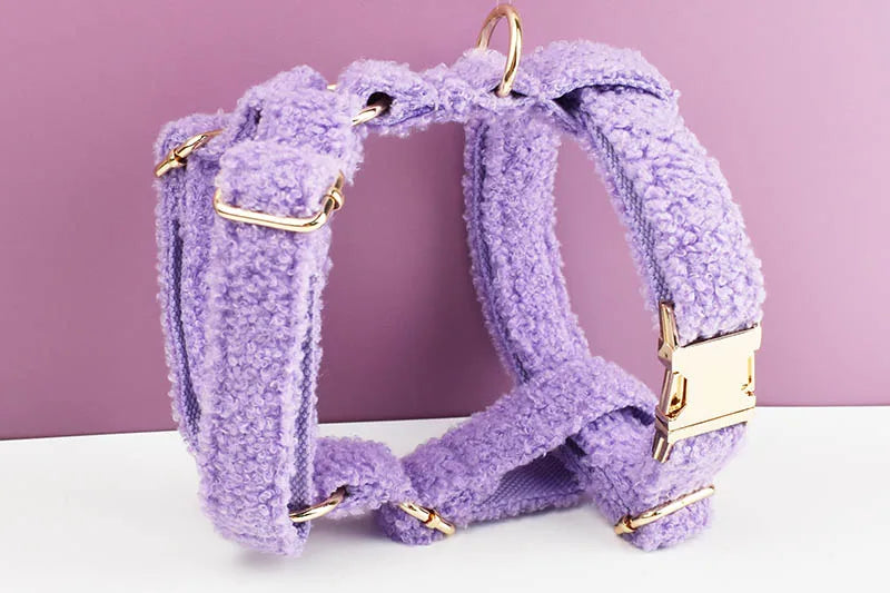 Purple Teddy Cotton Pet Collar And Leash Set with Engraved Nameplate