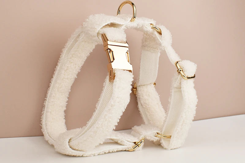 White Teddy Pet Collar & Harness Set With Custom Engraving
