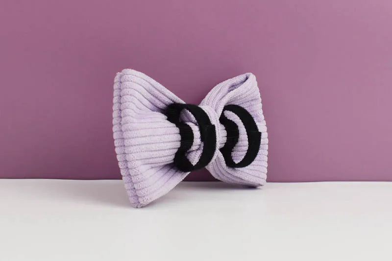 Purple Corduroy Pet Collar And Leash Set with Engraved Nameplate
