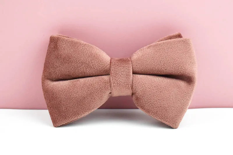 Dusty Pink Velvet Pet Collar And Leash Set with Nameplate