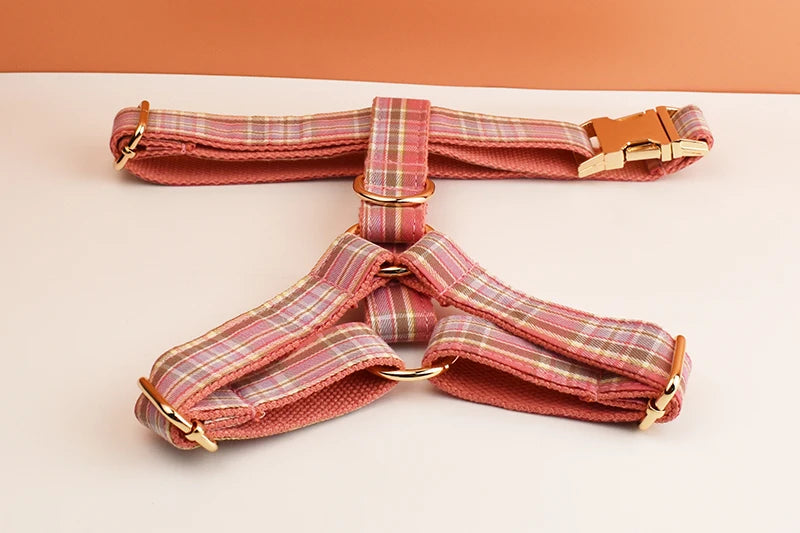 Plaid Pet Collar And Leash Set With Engraved Nameplate