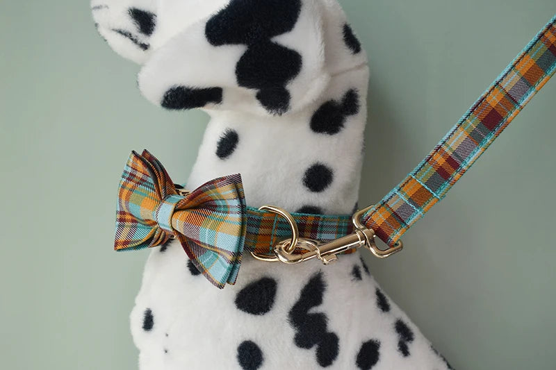 Personalized Pet Collar Set