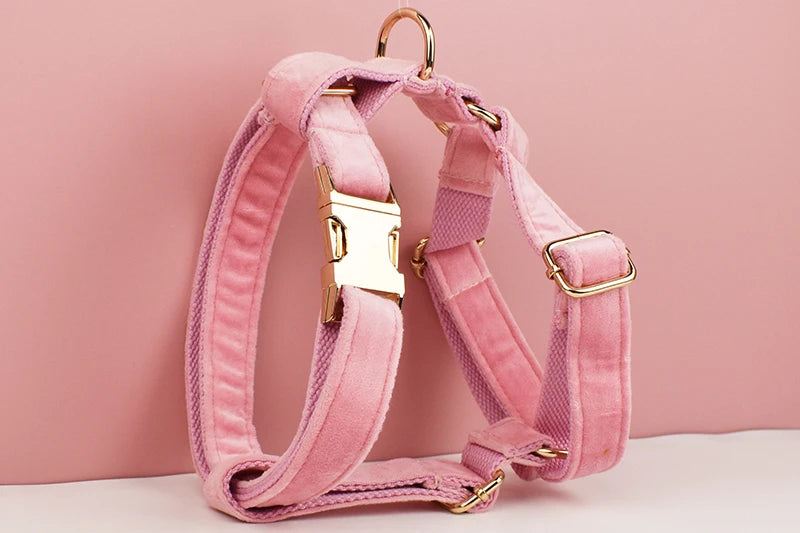 Pink Velvet Pet Collar & Leash Set with Custom Engraved Nameplate