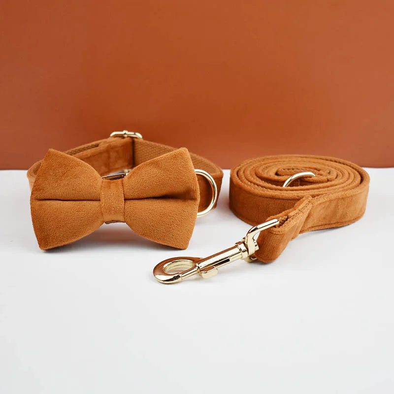 Tan Velvet Pet Collar And Leash Set - Custom Engraved Name