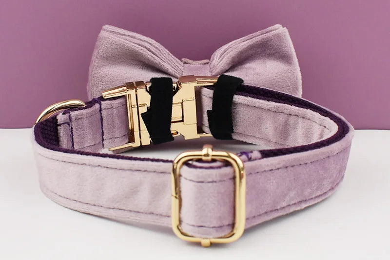 Light Purple Velvet Dog Collar And Leash Set - Custom Engraved Nameplate