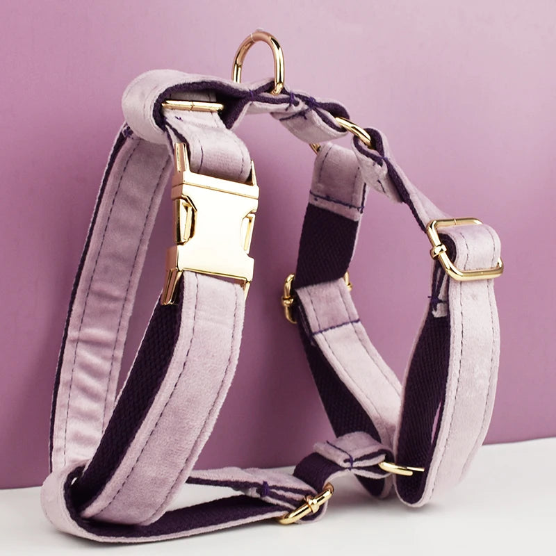 Light Purple Velvet Dog Collar And Leash Set - Custom Engraved Nameplate
