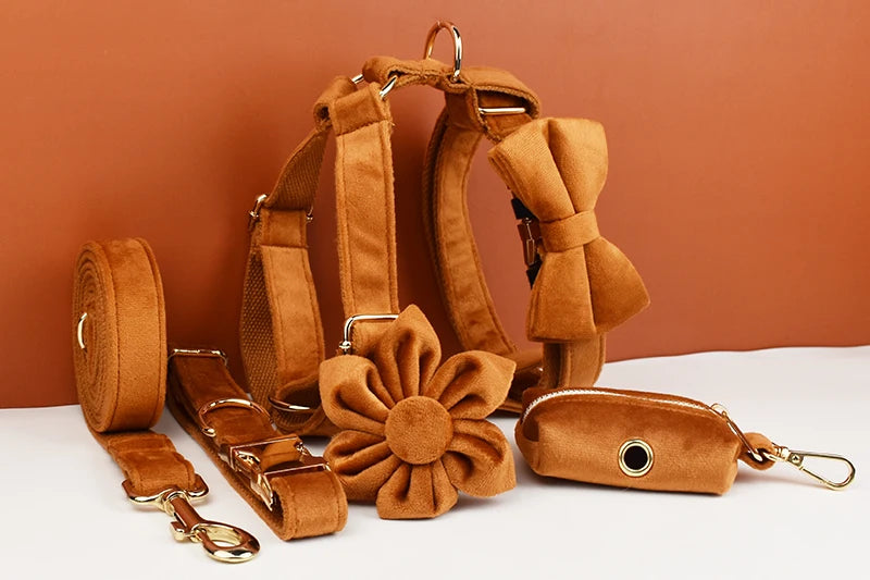 Tan Velvet Pet Collar And Leash Set - Custom Engraved Name