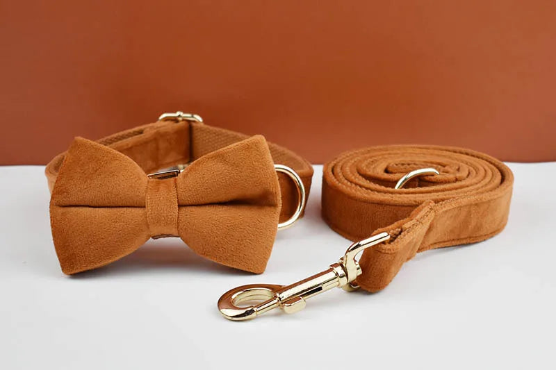 Tan Velvet Pet Collar And Leash Set - Custom Engraved Name