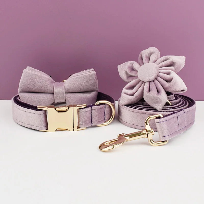 Light Purple Velvet Dog Collar And Leash Set - Custom Engraved Nameplate