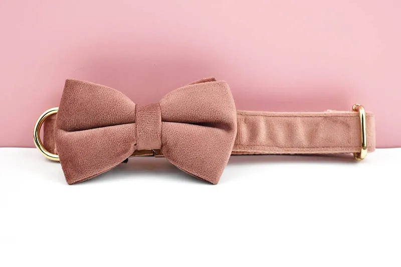 Dusty Pink Velvet Pet Collar And Leash Set with Nameplate