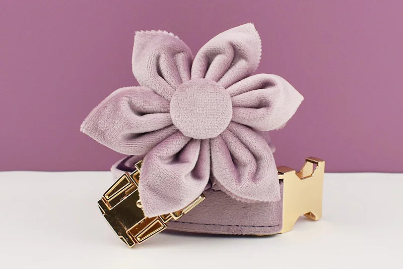 Light Purple Velvet Dog Collar And Leash Set - Custom Engraved Nameplate